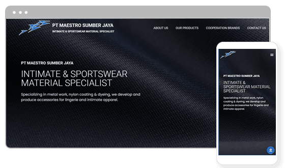 Maestros website preview